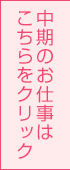 株式会社テクノスマイル