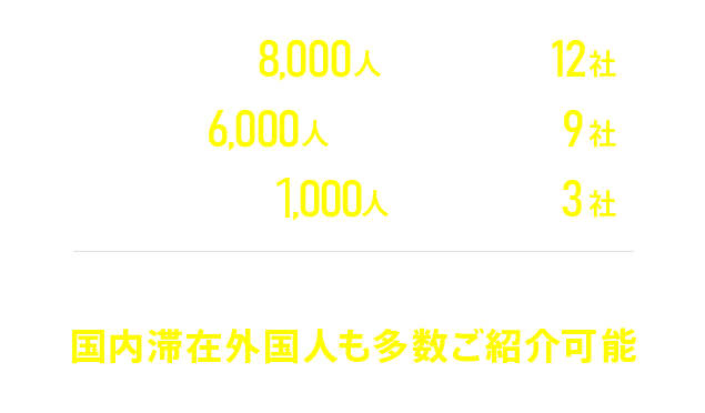 ベトナムから8,000人・・・提携先12社　中国から6,000人・・・提携先9社　ミャンマーから１,000人・・・提携先3社　その他フィリピン、インドネシア、タイなど国内滞在外国人も多数ご紹介可能