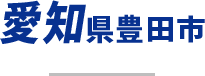 愛知県豊田市